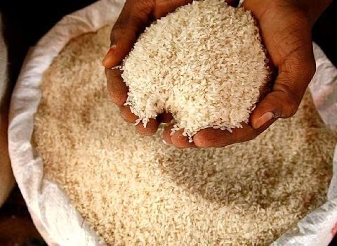 خرید برنج شمال کرج + قیمت فروش استثنایی